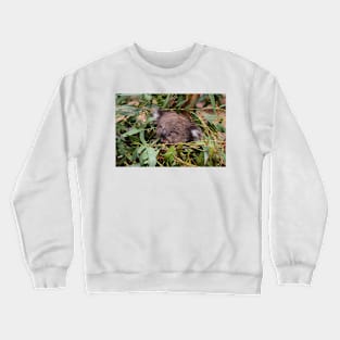 Hazel Amongst The Gum Leaves Crewneck Sweatshirt